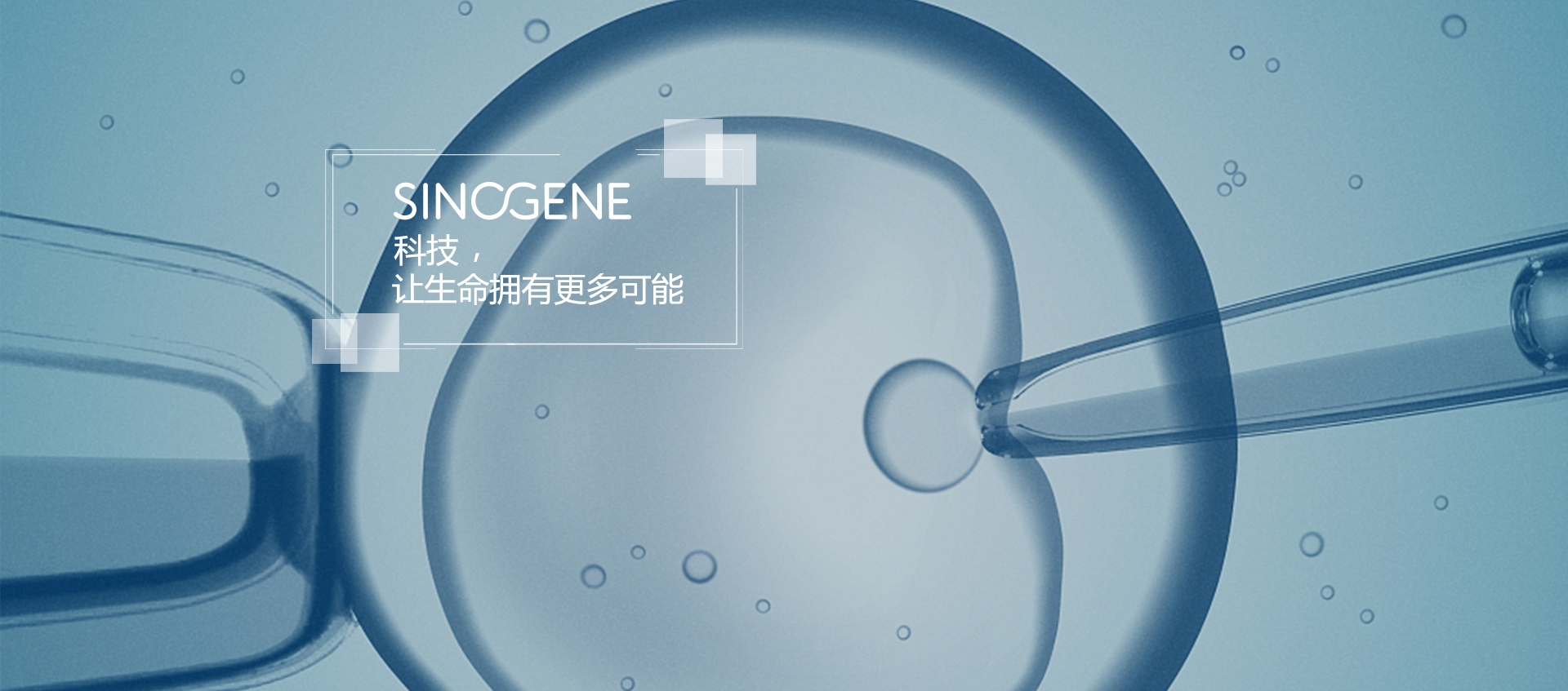 首页banner